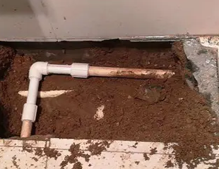 杨陵测漏水哪家好