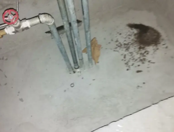 杨陵卫生间测漏水价格明细