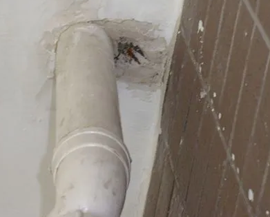 杨陵漏水检测哪家好